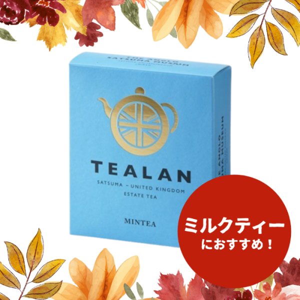 画像1: TEALAN　ミンティー (1)