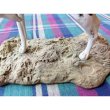 画像5: 英国 ノースライト社製　ポインター ブラッック&ホワイト　置物 (5)