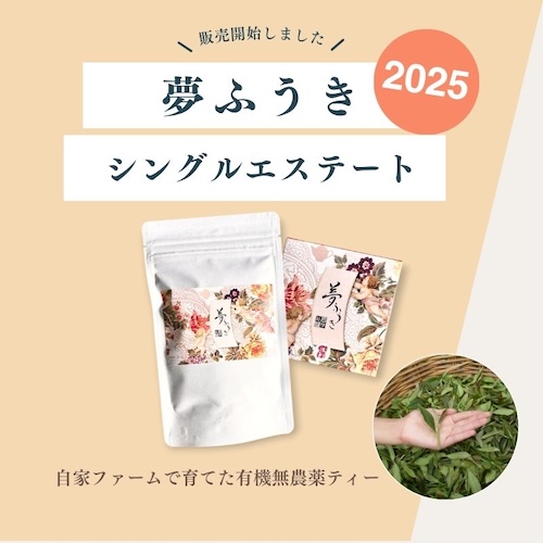 夢ふうきシングルエステート2025販売開始✨